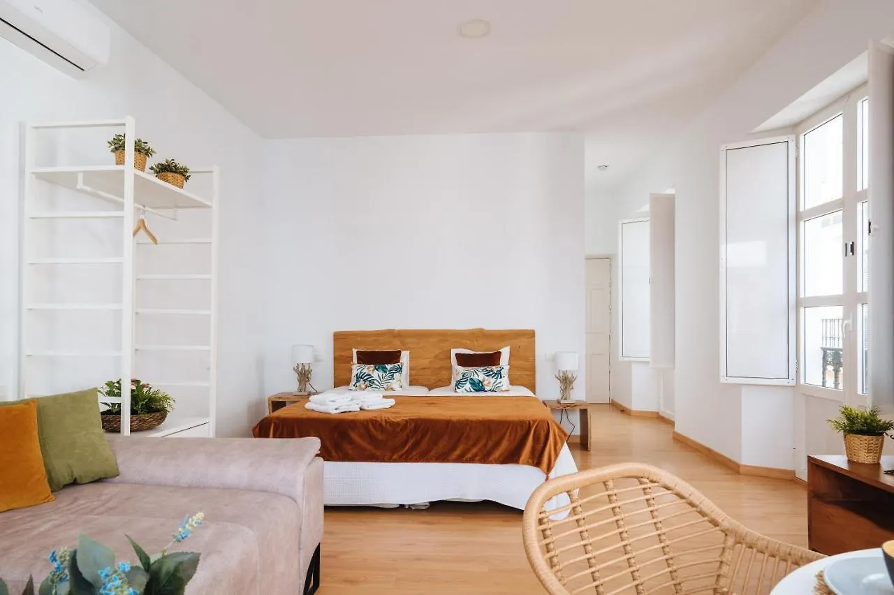 Hostly Rivero 2A Center Loft-Fibre-Communal Terrace-Parking Optional-Cless Seville 0*,  Spain